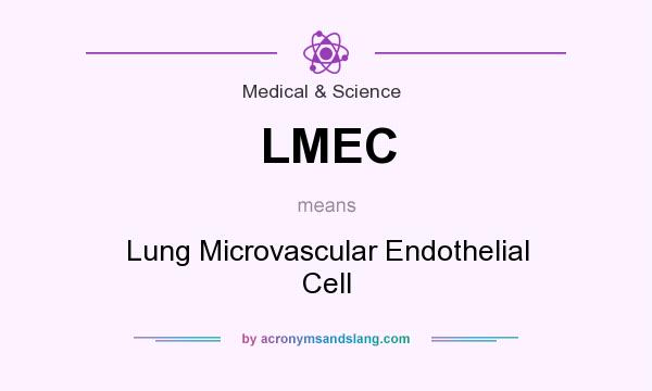 What does LMEC mean? It stands for Lung Microvascular Endothelial Cell
