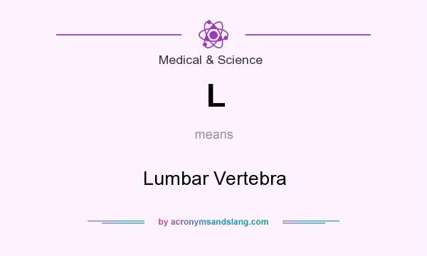 What does L mean? It stands for Lumbar Vertebra