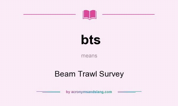 What does bts mean? It stands for Beam Trawl Survey