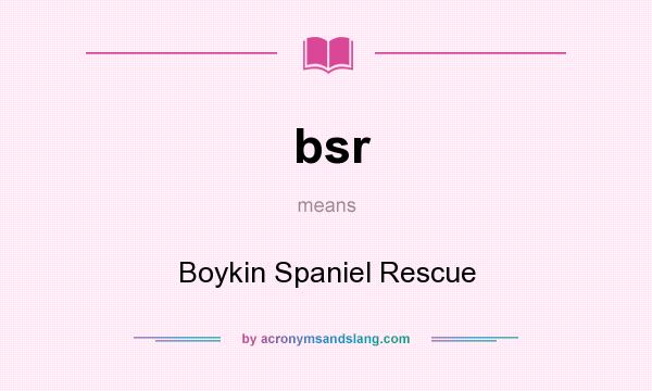What does bsr mean? It stands for Boykin Spaniel Rescue