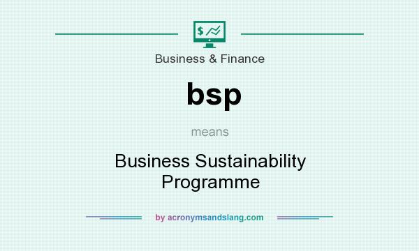 What does bsp mean? It stands for Business Sustainability Programme