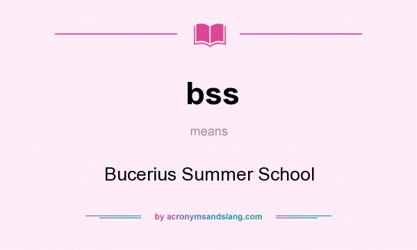 What does bss mean? It stands for Bucerius Summer School