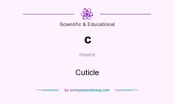 What does c mean? It stands for Cuticle