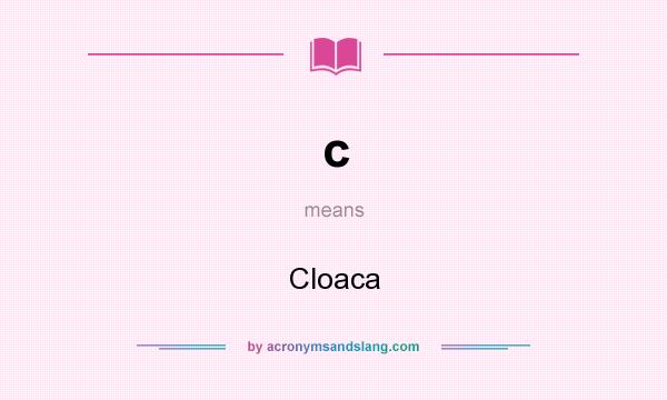 What does c mean? It stands for Cloaca