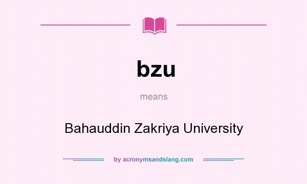 What does bzu mean? It stands for Bahauddin Zakriya University