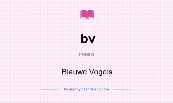 What does bv mean? It stands for Blauwe Vogels