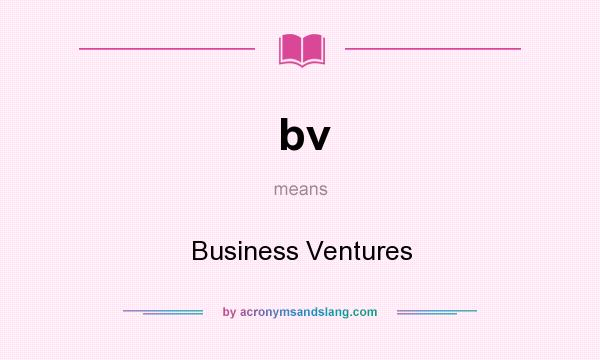 What does bv mean? It stands for Business Ventures
