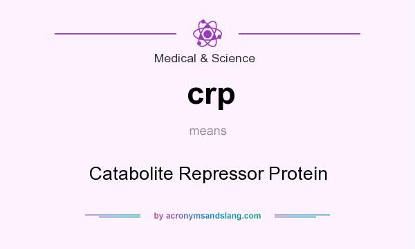 What does crp mean? It stands for Catabolite Repressor Protein