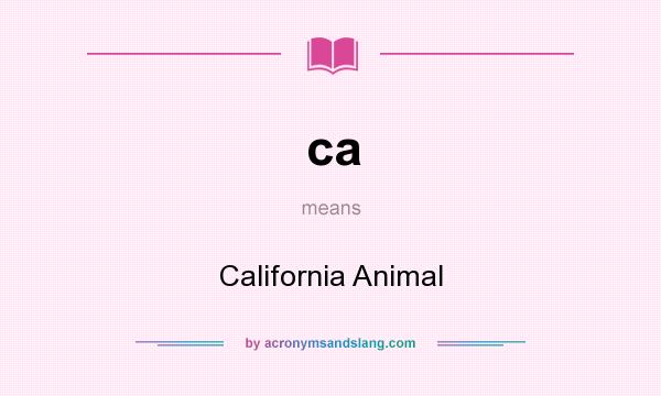 What does ca mean? It stands for California Animal