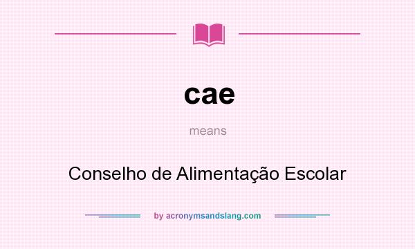 What does cae mean? It stands for Conselho de Alimentação Escolar