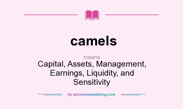 What does camels mean? It stands for Capital, Assets, Management, Earnings, Liquidity, and Sensitivity