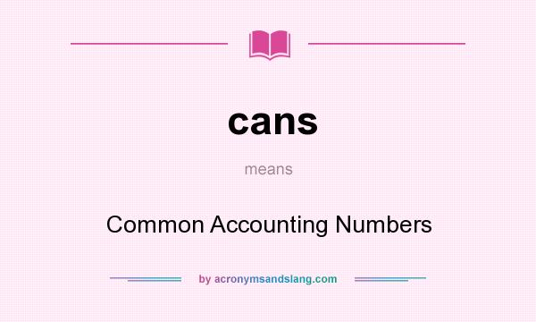 What does cans mean? It stands for Common Accounting Numbers