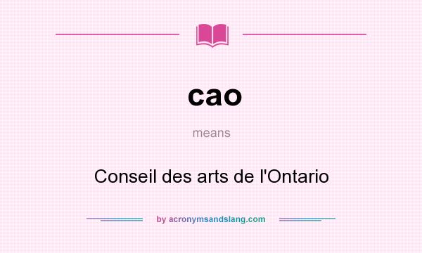 What does cao mean? It stands for Conseil des arts de l`Ontario