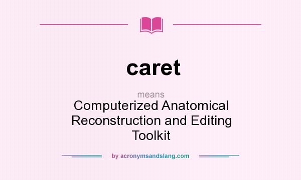 What does caret mean? It stands for Computerized Anatomical Reconstruction and Editing Toolkit
