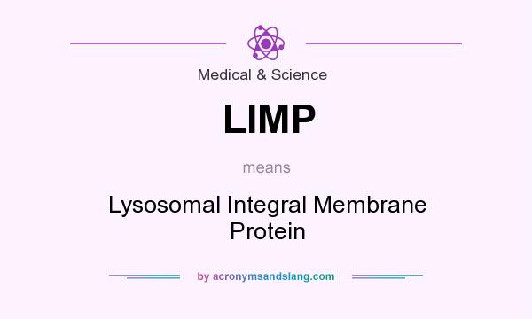 What does LIMP mean? It stands for Lysosomal Integral Membrane Protein