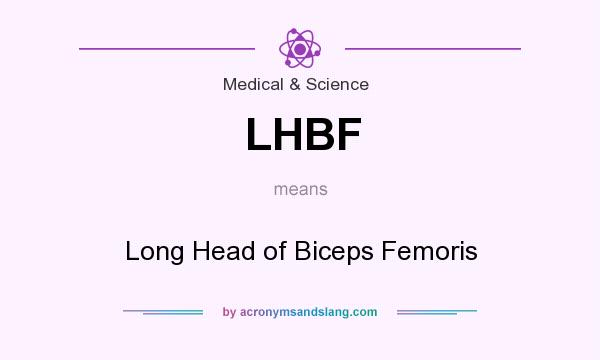 What does LHBF mean? It stands for Long Head of Biceps Femoris