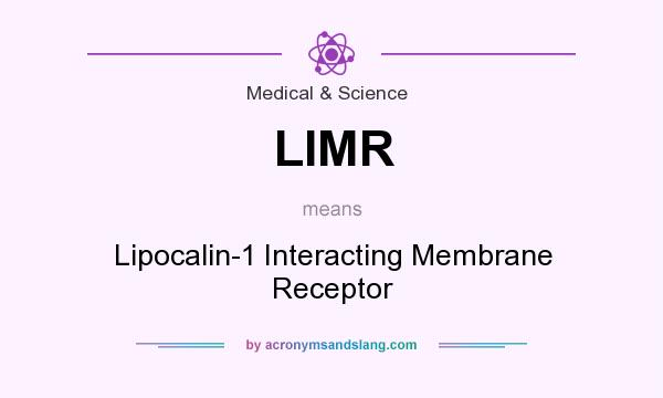 What does LIMR mean? It stands for Lipocalin-1 Interacting Membrane Receptor