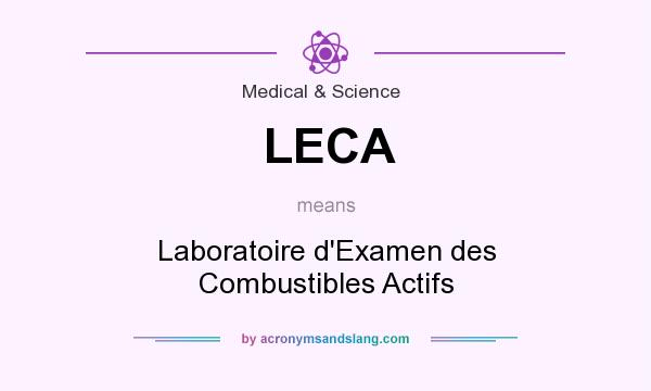 What does LECA mean? It stands for Laboratoire d`Examen des Combustibles Actifs