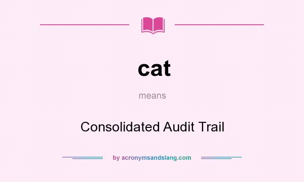 What does cat mean? It stands for Consolidated Audit Trail