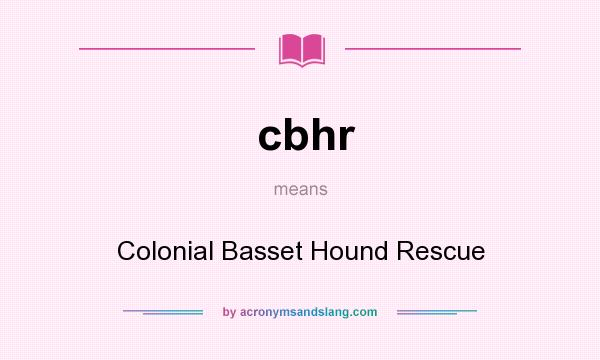 What does cbhr mean? It stands for Colonial Basset Hound Rescue