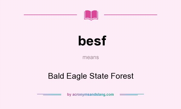 What does besf mean? It stands for Bald Eagle State Forest
