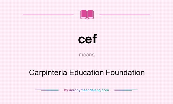 What does cef mean? It stands for Carpinteria Education Foundation