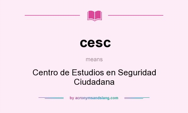 What does cesc mean? It stands for Centro de Estudios en Seguridad Ciudadana