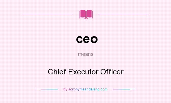 What does ceo mean? It stands for Chief Executor Officer