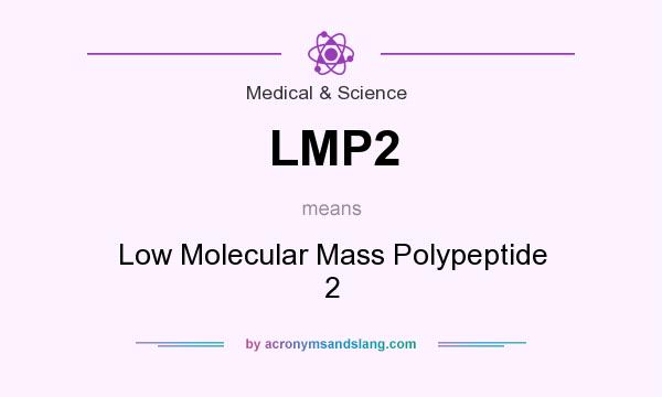 What does LMP2 mean? It stands for Low Molecular Mass Polypeptide 2