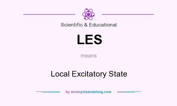 What does LES mean? It stands for Local Excitatory State