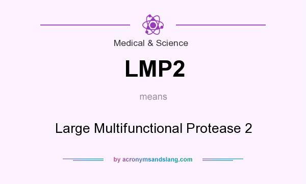 What does LMP2 mean? It stands for Large Multifunctional Protease 2