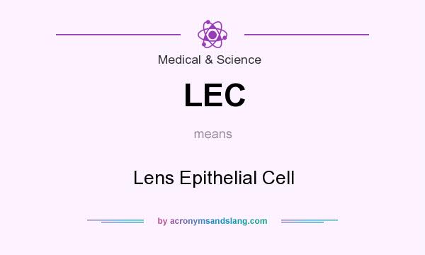 What does LEC mean? It stands for Lens Epithelial Cell