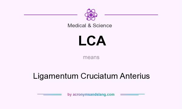 What does LCA mean? It stands for Ligamentum Cruciatum Anterius