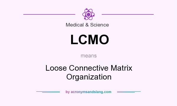 What does LCMO mean? It stands for Loose Connective Matrix Organization