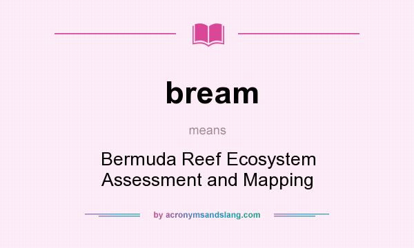 What does bream mean? It stands for Bermuda Reef Ecosystem Assessment and Mapping
