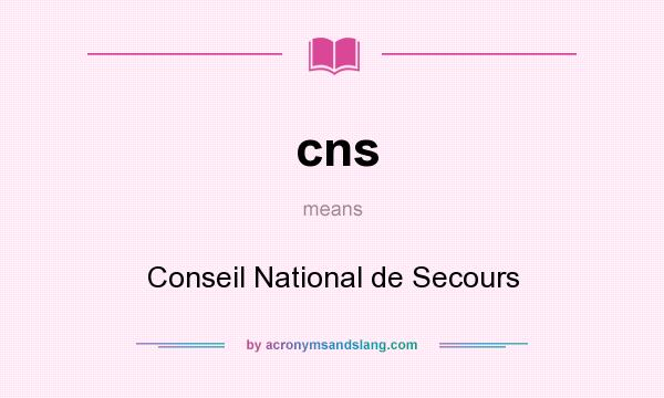 What does cns mean? It stands for Conseil National de Secours