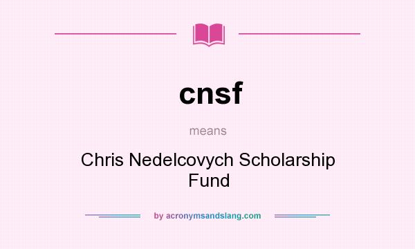 What does cnsf mean? It stands for Chris Nedelcovych Scholarship Fund