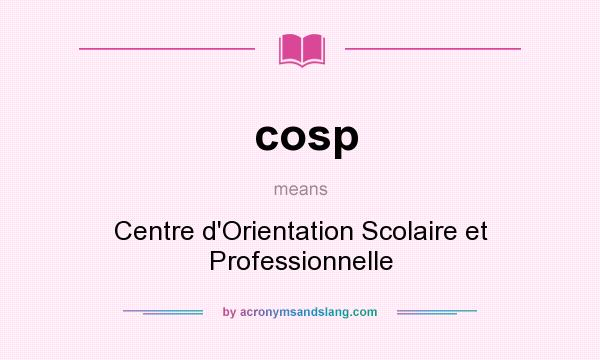 What does cosp mean? It stands for Centre d`Orientation Scolaire et Professionnelle