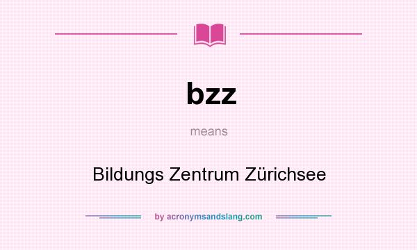 What does bzz mean? It stands for Bildungs Zentrum Zürichsee