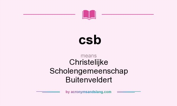What does csb mean? It stands for Christelijke Scholengemeenschap Buitenveldert