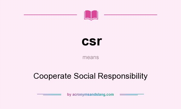 What does csr mean? It stands for Cooperate Social Responsibility