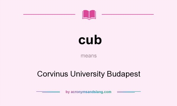 What does cub mean? It stands for Corvinus University Budapest