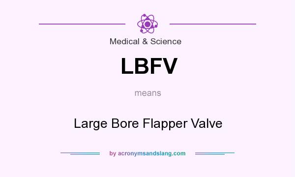 What does LBFV mean? It stands for Large Bore Flapper Valve