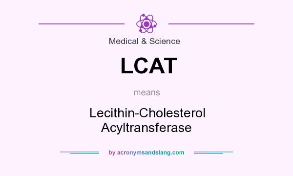 What does LCAT mean? It stands for Lecithin-Cholesterol Acyltransferase