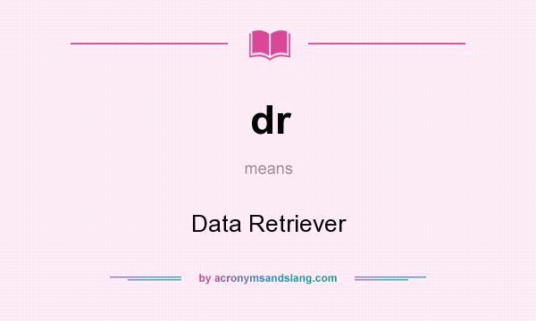 What does dr mean? It stands for Data Retriever