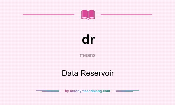 What does dr mean? It stands for Data Reservoir