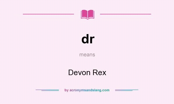 What does dr mean? It stands for Devon Rex