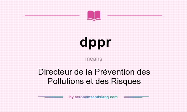 What does dppr mean? It stands for Directeur de la Prévention des Pollutions et des Risques