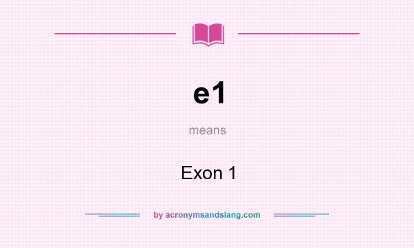 What does e1 mean? It stands for Exon 1
