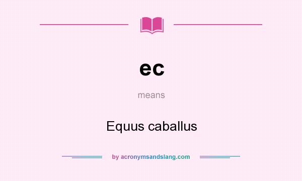 What does ec mean? It stands for Equus caballus
